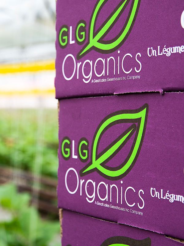GLG Organics Logo on Purple Box
